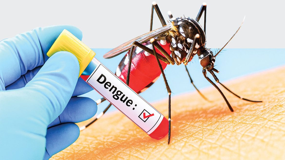 ডেঙ্গু চিকুনগুনিয়ায় প্রয়োজন সচেতনতা