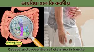 ডায়রিয়া